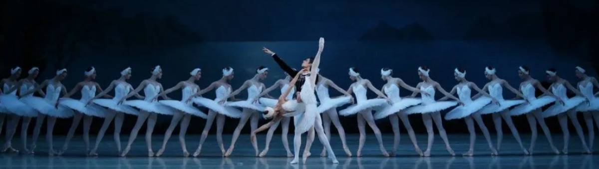 Swan Lake 19/12 - Teatro Regio, Torino